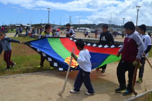 bandera tirua