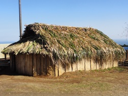 El sueño de la Autonomía Mapuche