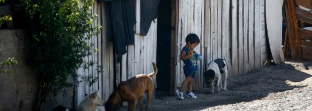 Hallan presencia de plaguicidas en niños de zonas rurales de Talca: uno de estos está prohibido hace 18 años