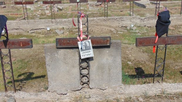 El Patio 29 se transforma en un sitio vivo